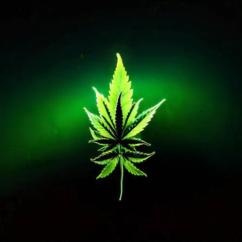 Best Cannabis Promotional Products | MunchMakers