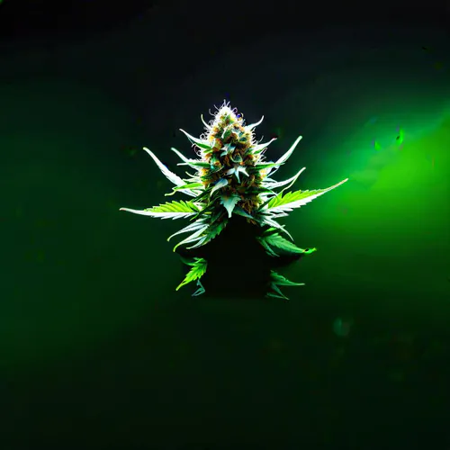 Joint Roller Guide: Find the Right Rolling Machine