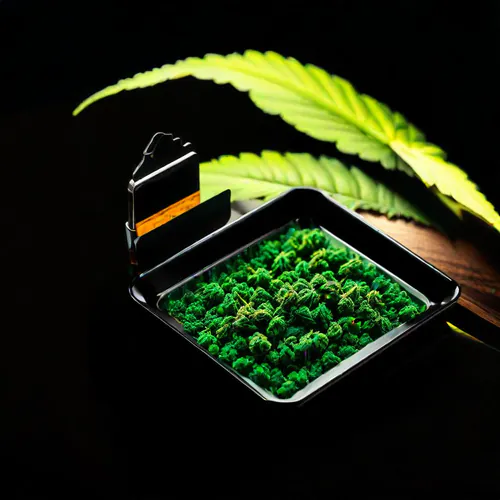 Rolling Trays 101: Your Complete Guide to Choosing the Perfect Accessory for an Elevated Smoking Experience