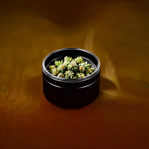 The Ultimate Guide to the Best Grinder for Kief Collection