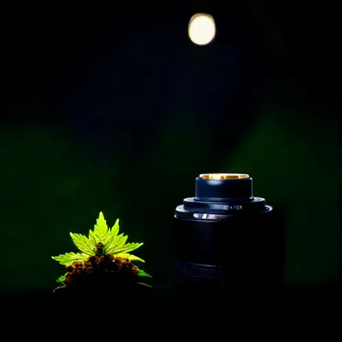 Unlocking the Price of Raw Papers: A Comprehensive Guide to Features, Benefits, and Best Buys!