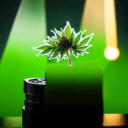 Your Ultimate Guide to Perfect Herb Grinding!