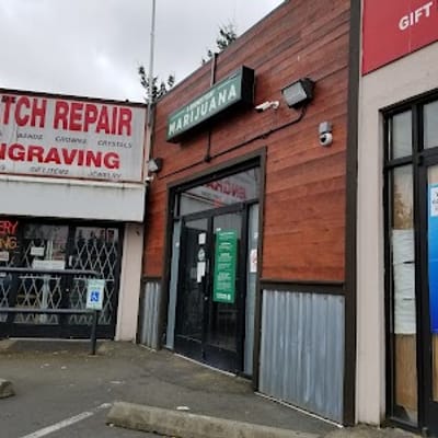 A Greener Today - Shoreline