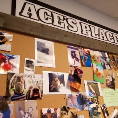 Ascend Cannabis - Fort Collins