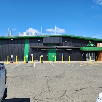 Berkshire Cannabis Company Pittsfield