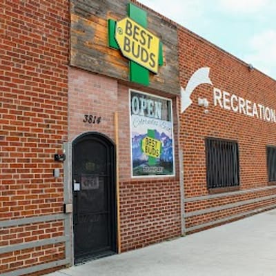 Best Buds - Rino District