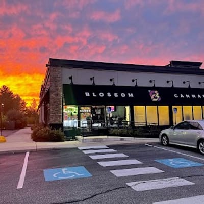 Blossom Cannabis Biddeford
