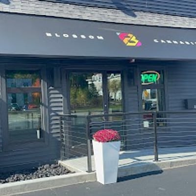 Blossom Cannabis Saco