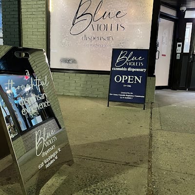 Blue Violets Hoboken