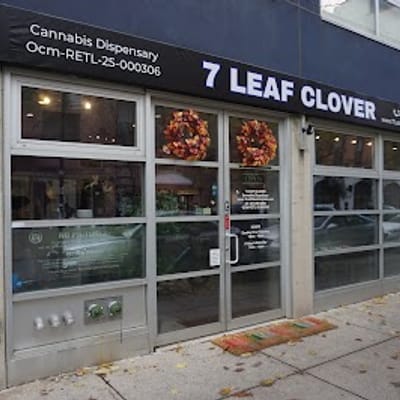 Brooklyn Cannabis Company