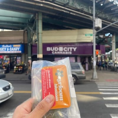 East New York Cannabis