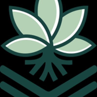 Exit 31 Exotic Utica