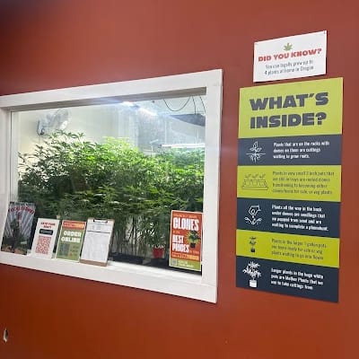 Five Zero Trees - East