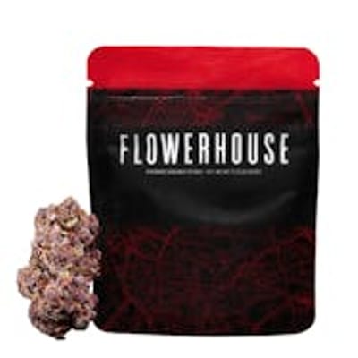 Flowerhouse Plattsburgh