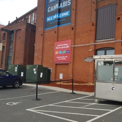 Fyre Ants Easthampton