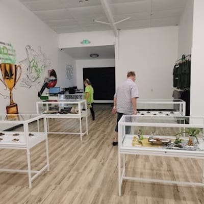 Gnomad Canna Co - Tatum