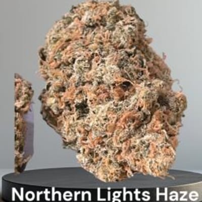 Green Therapy NYC Bronx