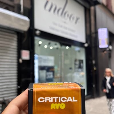 Indoor Treez Midtown