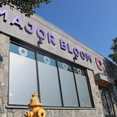 Major Bloom Worcester