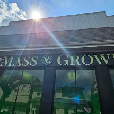 Mass Grown Mount Holly