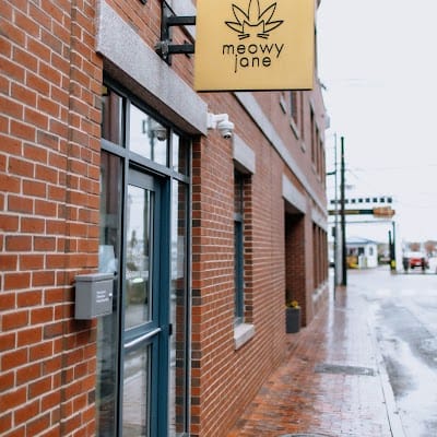 Meowy Jane