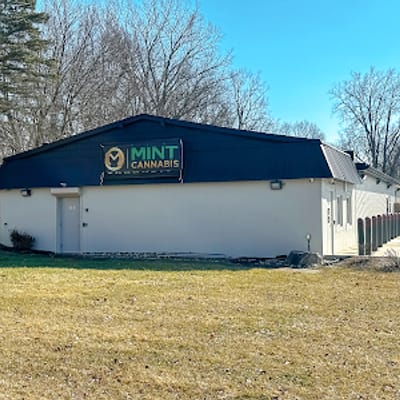 Mint Cannabis - Oxford