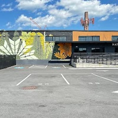 Native Sun Cannabis Boston