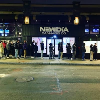 New Dia Cannabis Boston