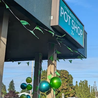 Novel Tree - Bremerton