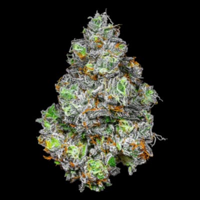 Prohibition 37 - Las Cruces