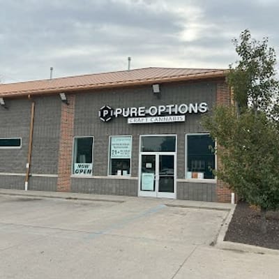 Pure Options - Detroit