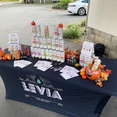 Rebelle Great Barrington