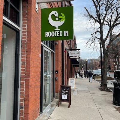 Rooted In Boston