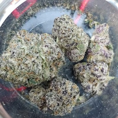 Seed of Life Labs - Glendive