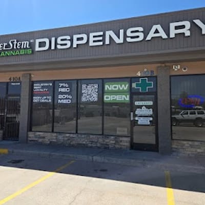 Silver Stem - 8th St