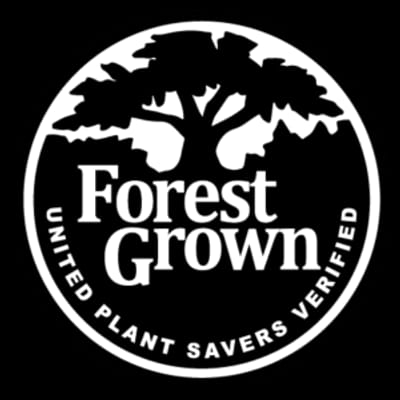 The Artist Tree Monterey