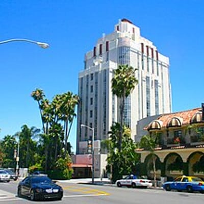 The Artist Tree Pacific Grove