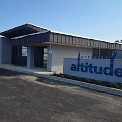 The Artist Tree Seaside