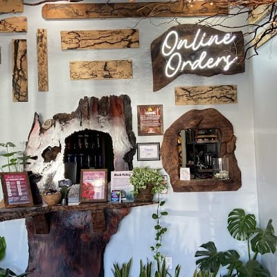 The Artist Tree Sherman Oaks