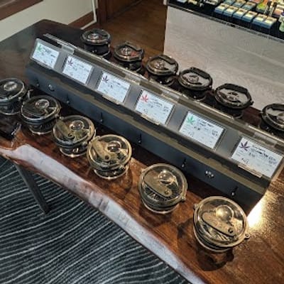 The Herbal Collective