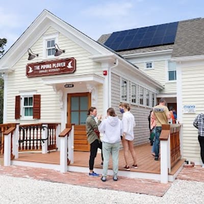 The Piping Plover Wellfleet