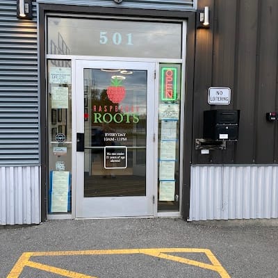 The Roots - Raspberry