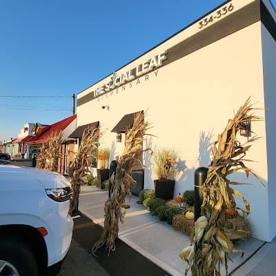 The Social Leaf Toms River