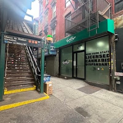 Twisted Vibration Brooklyn