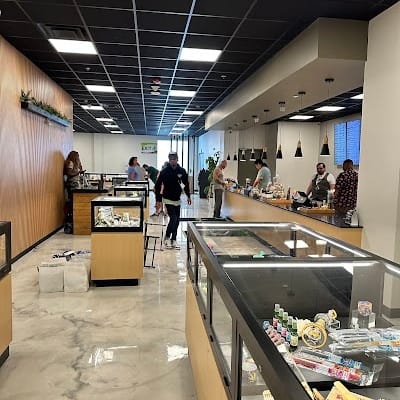 Zaza Green Springfield