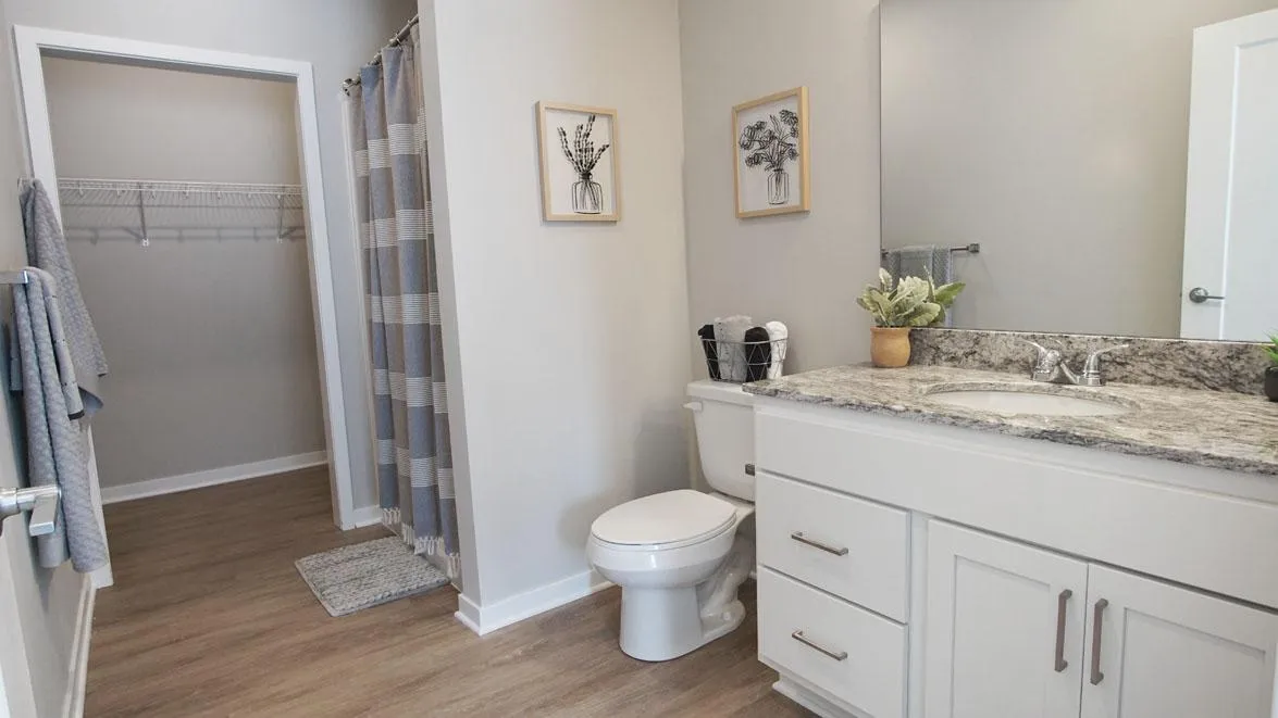 Ascend on 75 photo 5