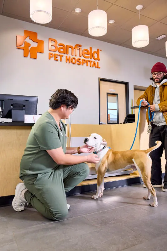 Banfield Pet Hospital photo 2