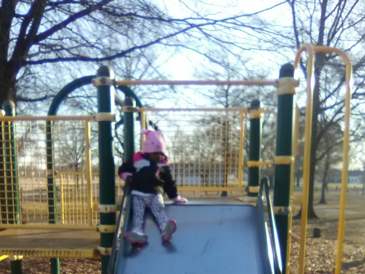 Gumtree Park photo 6