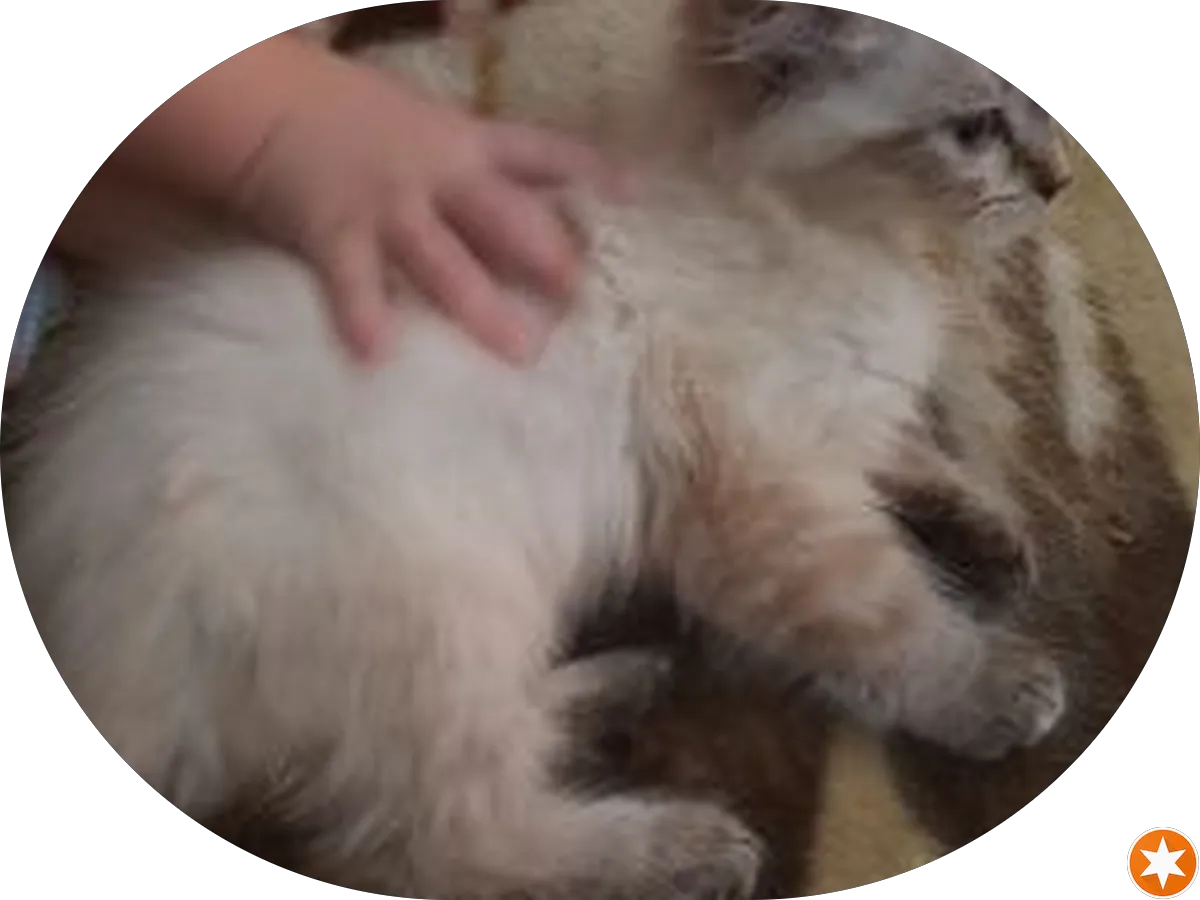 Johnson City Municipal and Safety Building photo 3