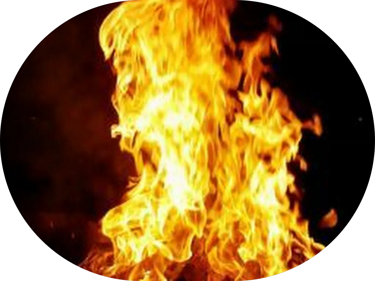 Latta University Historic Park photo 4